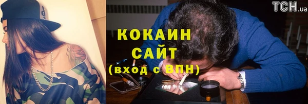 apvp Алексин