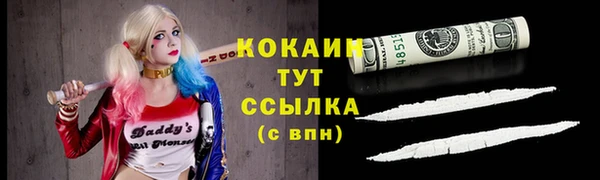 apvp Алексин