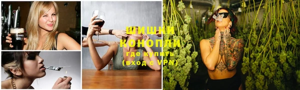 apvp Алексин