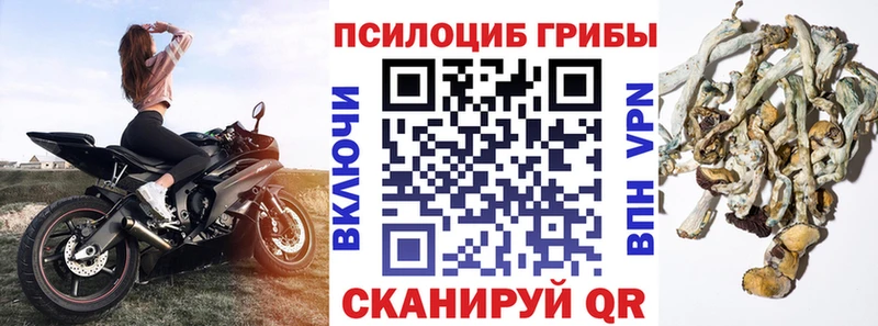Галлюциногенные грибы мухоморы  Люберцы 